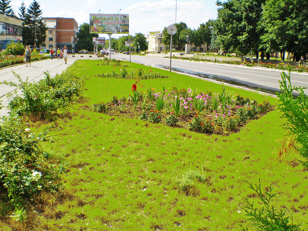 Звенигородка
